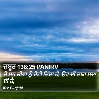 ਜ਼ਬੂਰ 136:25 PANIRV Bible Verse Image