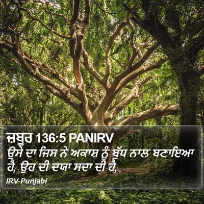 ਜ਼ਬੂਰ 136:5 PANIRV Bible Verse Image