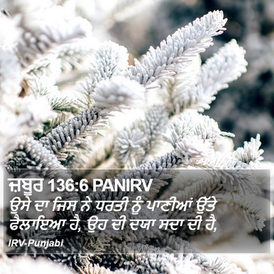 ਜ਼ਬੂਰ 136:6 PANIRV Bible Verse Image