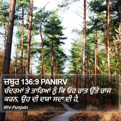 ਜ਼ਬੂਰ 136:9 PANIRV Bible Verse Image