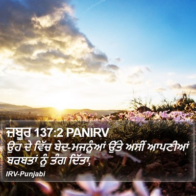 ਜ਼ਬੂਰ 137:2 PANIRV Bible Verse Image