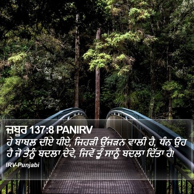 ਜ਼ਬੂਰ 137:8 PANIRV Bible Verse Image