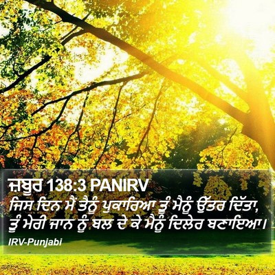 ਜ਼ਬੂਰ 138:3 PANIRV Bible Verse Image