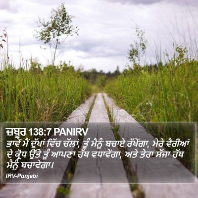 ਜ਼ਬੂਰ 138:7 PANIRV Bible Verse Image