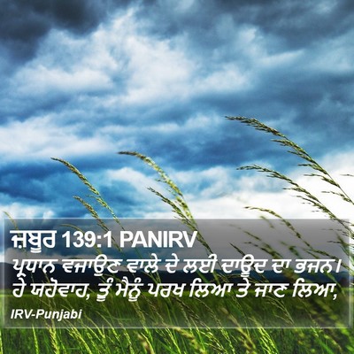 ਜ਼ਬੂਰ 139:1 PANIRV Bible Verse Image