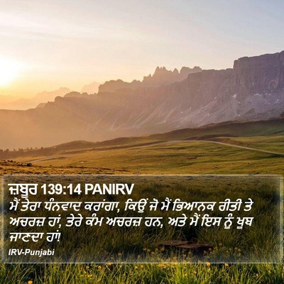 ਜ਼ਬੂਰ 139:14 PANIRV Bible Verse Image