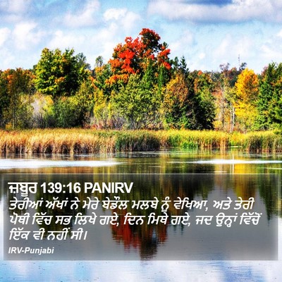 ਜ਼ਬੂਰ 139:16 PANIRV Bible Verse Image