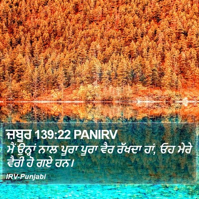 ਜ਼ਬੂਰ 139:22 PANIRV Bible Verse Image