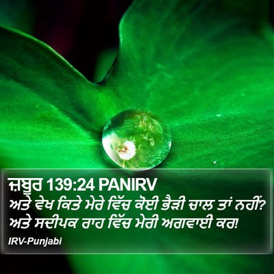 ਜ਼ਬੂਰ 139:24 PANIRV Bible Verse Image