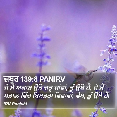 ਜ਼ਬੂਰ 139:8 PANIRV Bible Verse Image