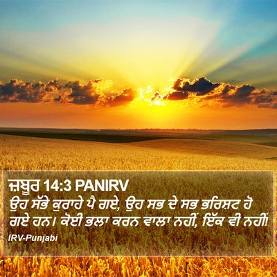 ਜ਼ਬੂਰ 14:3 PANIRV Bible Verse Image