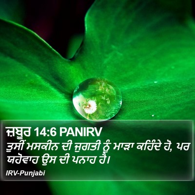 ਜ਼ਬੂਰ 14:6 PANIRV Bible Verse Image