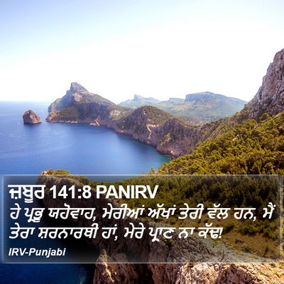 ਜ਼ਬੂਰ 141:8 PANIRV Bible Verse Image