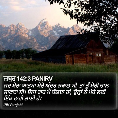 ਜ਼ਬੂਰ 142:3 PANIRV Bible Verse Image