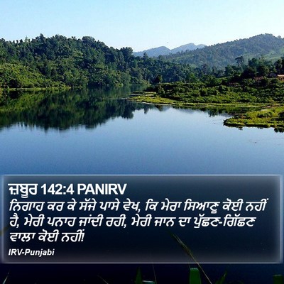 ਜ਼ਬੂਰ 142:4 PANIRV Bible Verse Image