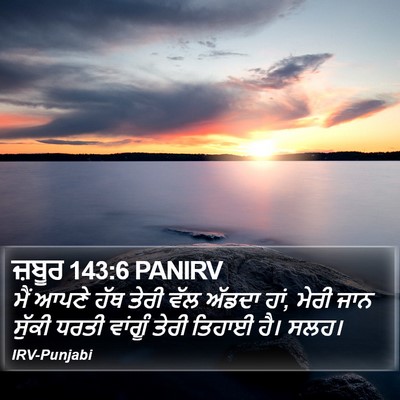 ਜ਼ਬੂਰ 143:6 PANIRV Bible Verse Image