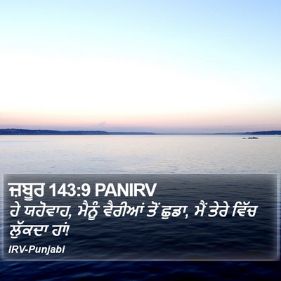 ਜ਼ਬੂਰ 143:9 PANIRV Bible Verse Image