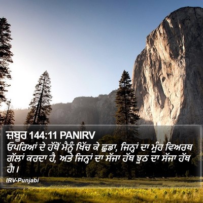 ਜ਼ਬੂਰ 144:11 PANIRV Bible Verse Image