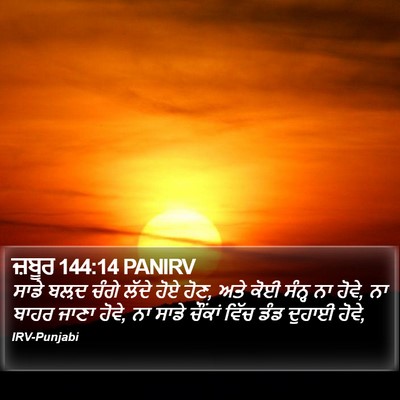 ਜ਼ਬੂਰ 144:14 PANIRV Bible Verse Image