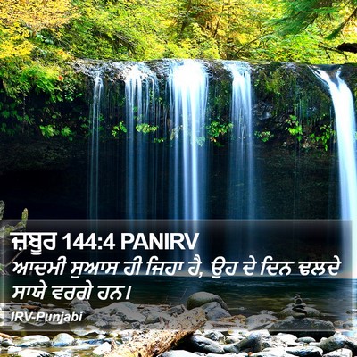 ਜ਼ਬੂਰ 144:4 PANIRV Bible Verse Image