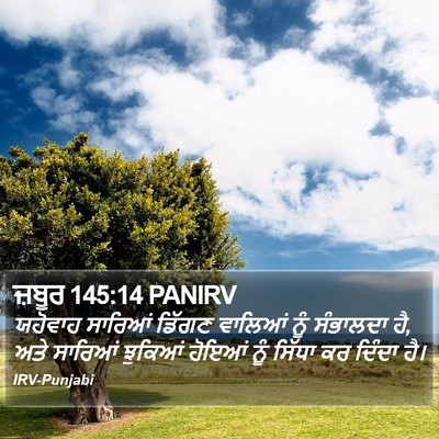 ਜ਼ਬੂਰ 145:14 PANIRV Bible Verse Image
