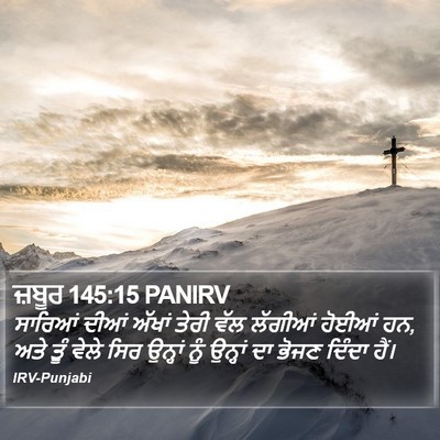 ਜ਼ਬੂਰ 145:15 PANIRV Bible Verse Image