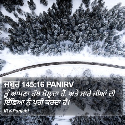 ਜ਼ਬੂਰ 145:16 PANIRV Bible Verse Image