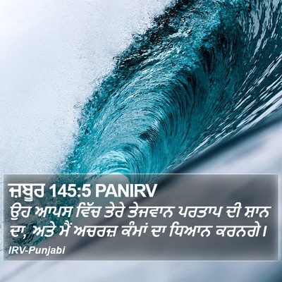 ਜ਼ਬੂਰ 145:5 PANIRV Bible Verse Image