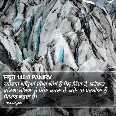 ਜ਼ਬੂਰ 146:8 PANIRV Bible Verse Image