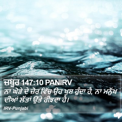 ਜ਼ਬੂਰ 147:10 PANIRV Bible Verse Image