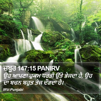 ਜ਼ਬੂਰ 147:15 PANIRV Bible Verse Image