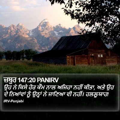 ਜ਼ਬੂਰ 147:20 PANIRV Bible Verse Image