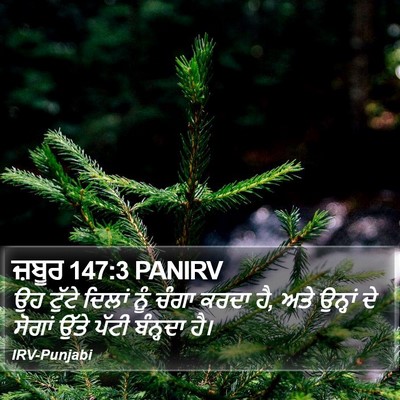 ਜ਼ਬੂਰ 147:3 PANIRV Bible Verse Image