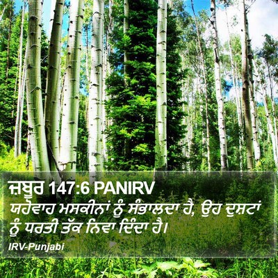 ਜ਼ਬੂਰ 147:6 PANIRV Bible Verse Image