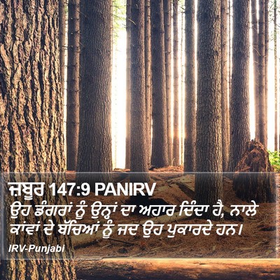 ਜ਼ਬੂਰ 147:9 PANIRV Bible Verse Image