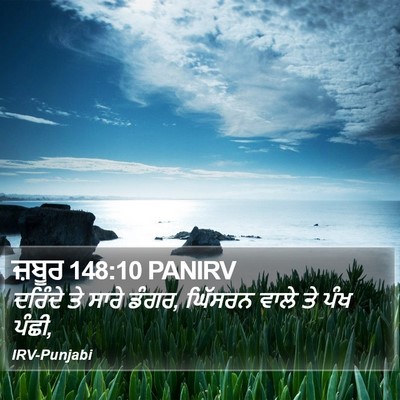 ਜ਼ਬੂਰ 148:10 PANIRV Bible Verse Image