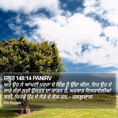 ਜ਼ਬੂਰ 148:14 PANIRV Bible Verse Image