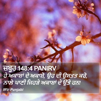 ਜ਼ਬੂਰ 148:4 PANIRV Bible Verse Image