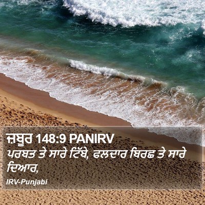 ਜ਼ਬੂਰ 148:9 PANIRV Bible Verse Image