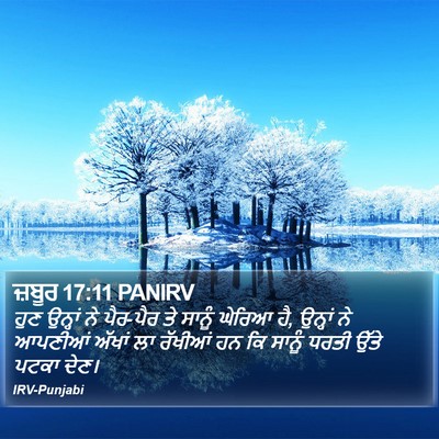 ਜ਼ਬੂਰ 17:11 PANIRV Bible Verse Image