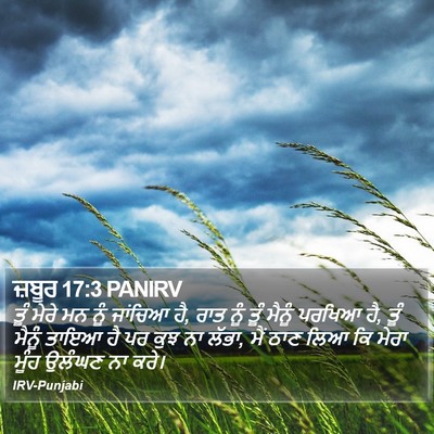ਜ਼ਬੂਰ 17:3 PANIRV Bible Verse Image