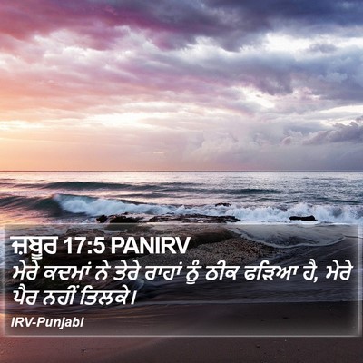 ਜ਼ਬੂਰ 17:5 PANIRV Bible Verse Image