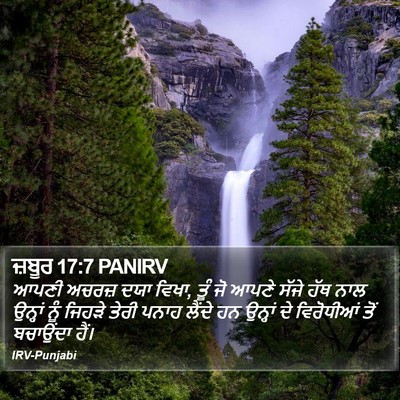 ਜ਼ਬੂਰ 17:7 PANIRV Bible Verse Image
