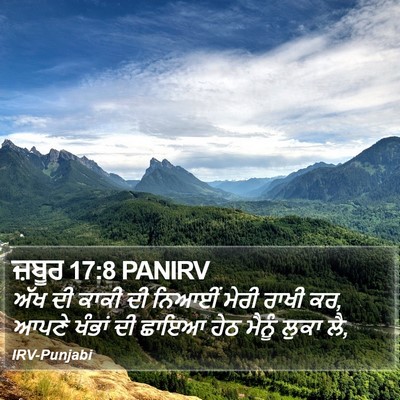 ਜ਼ਬੂਰ 17:8 PANIRV Bible Verse Image