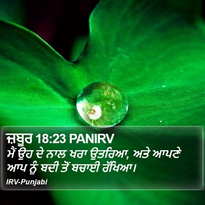 ਜ਼ਬੂਰ 18:23 PANIRV Bible Verse Image
