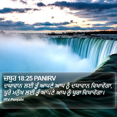 ਜ਼ਬੂਰ 18:25 PANIRV Bible Verse Image