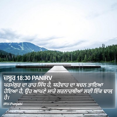 ਜ਼ਬੂਰ 18:30 PANIRV Bible Verse Image