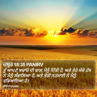 ਜ਼ਬੂਰ 18:35 PANIRV Bible Verse Image