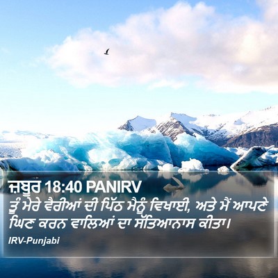 ਜ਼ਬੂਰ 18:40 PANIRV Bible Verse Image
