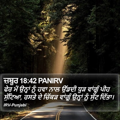 ਜ਼ਬੂਰ 18:42 PANIRV Bible Verse Image